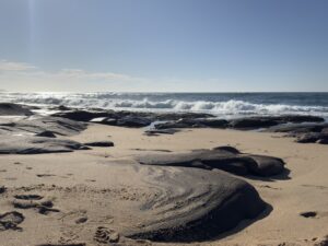 Pennington Beach